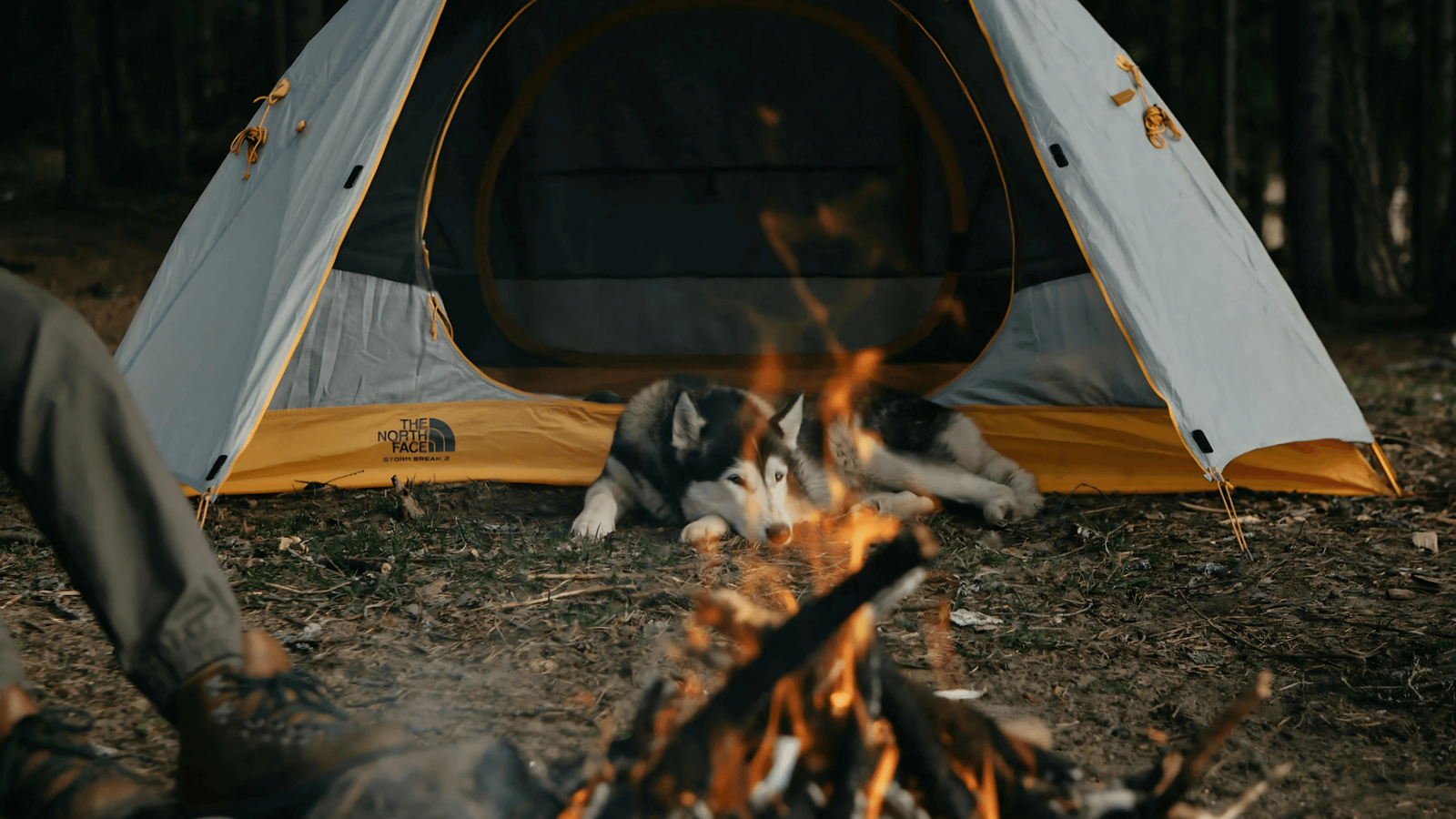 Camping Safety Tips Camping Safety Tips